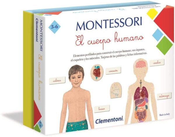 MONTESSORI EL CUERPO HUMANO