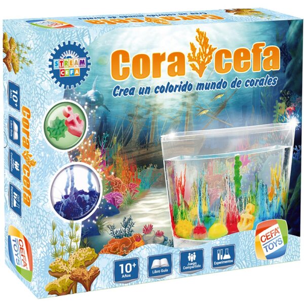 CORA CEFA