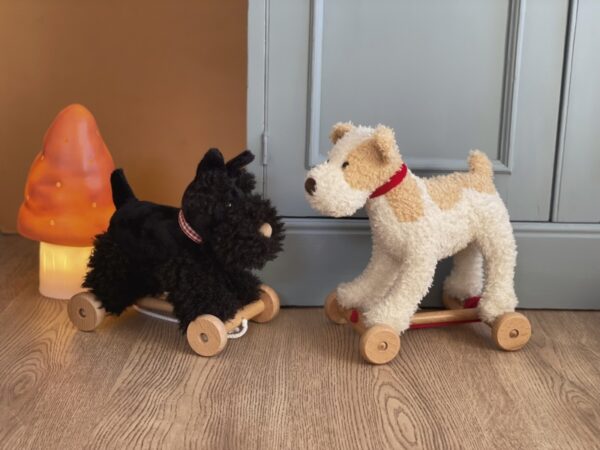 PERRO ARRASTRE ELIOT