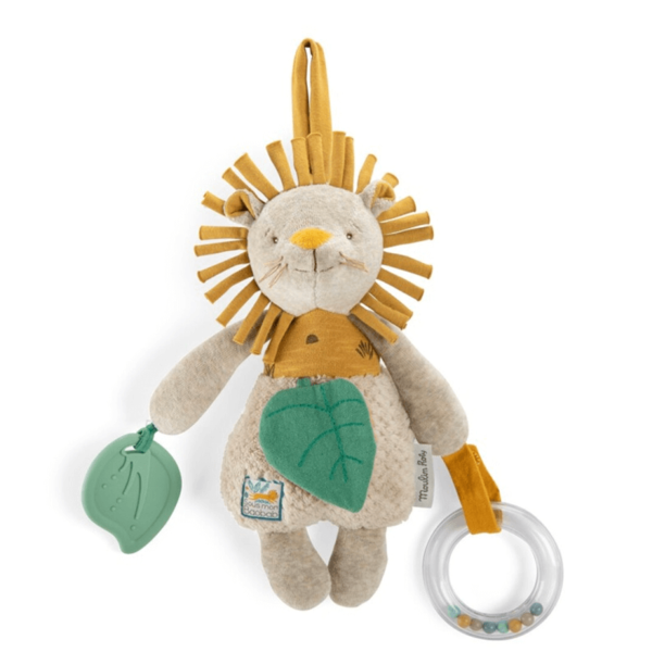 LEON ACTIVIDADES BAOBAB